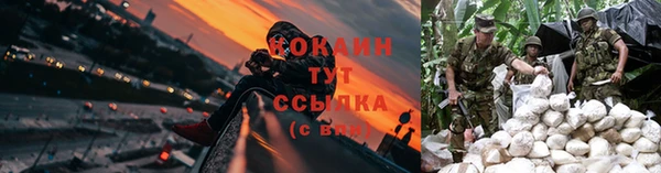стафф Армянск