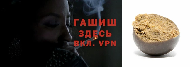 твердый Аркадак