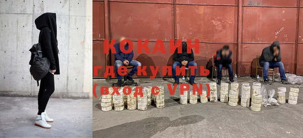 твердый Аркадак