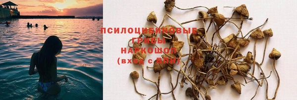 спайс Арсеньев