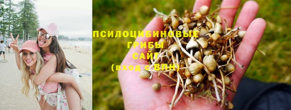 спайс Арсеньев